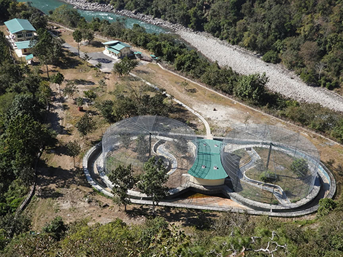 A sanctuary for the world’s rarest bird, White-bellied Heron  